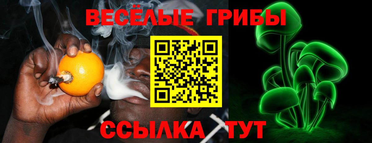 Владимир  Галлюциногенные грибы мухоморы  Вход с VPN  Галлюциногенные грибы прущие грибы 