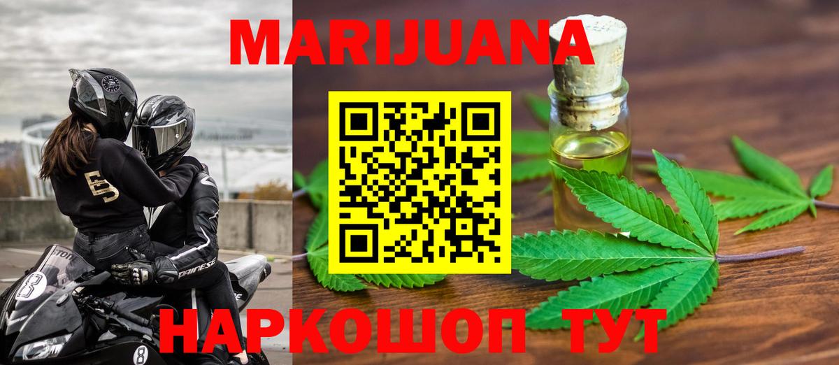 Канабис конопля Владимир