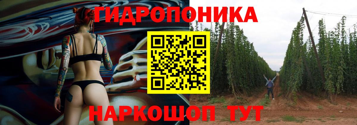 Конопля планчик  Конопля Ganja  Вход с VPN  Марихуана сатива  Владимир 